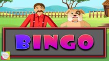 BINGO Dog Song - Nursery Rhymes  Animation Rhymes and Songs For Children