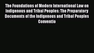 [PDF] The Foundations of Modern International Law on Indigenous and Tribal Peoples: The Preparatory