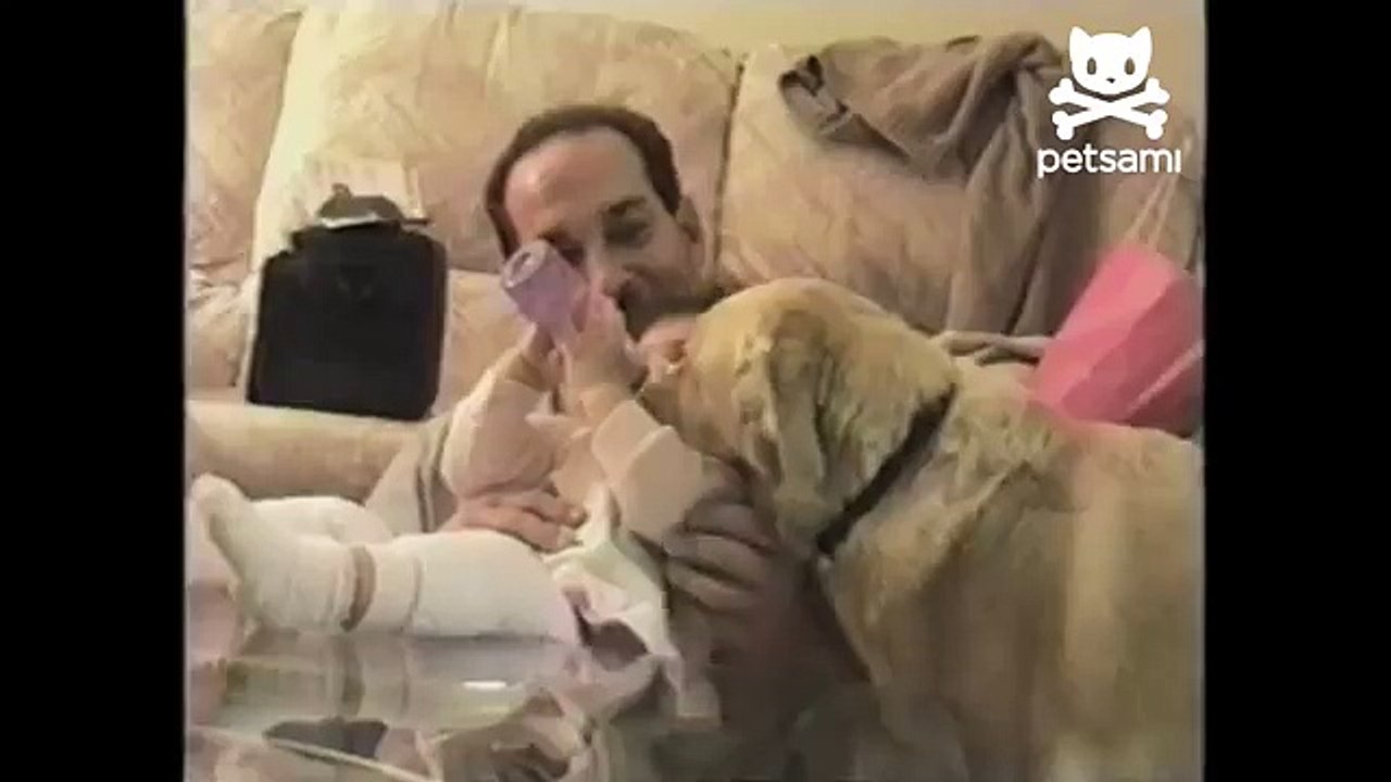 Kittens and puppies bottle feeding