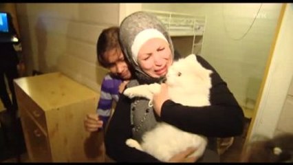 Iraklı Sığınmacı Kedinin Norveç?e İnanılmaz Kaçışı