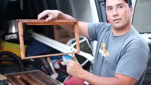 Removing and saving 50,000 bees from inside my walls