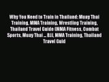 Read Why You Need to Train in Thailand: Muay Thai Training MMA Training Wrestling Training