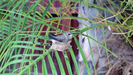 BEST FRIENDS REUNITED!