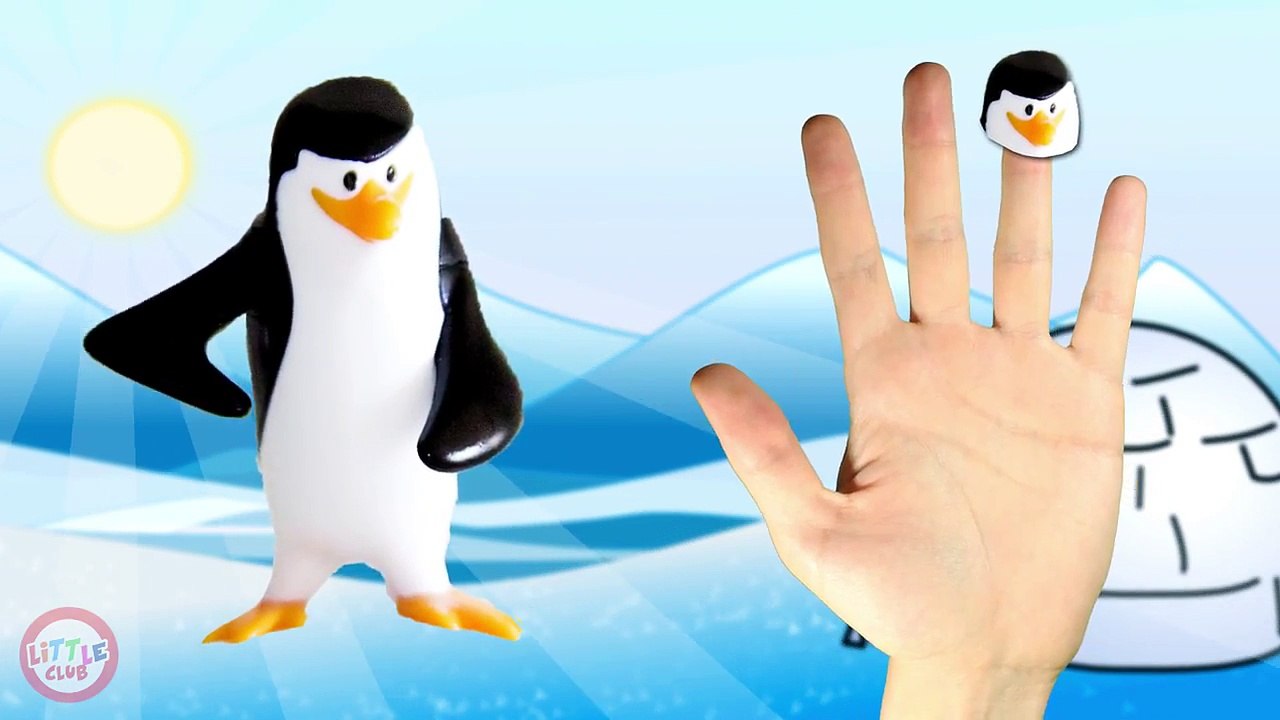 Penguins Finger Family Nursery Rhyme for Children