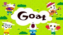 G  Goat  ABC Alphabet Songs  Phonics  PINKFONG Songs for Children