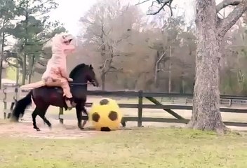 Faustino Asprilla apprend à son cheval à jouer au foot
