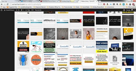 Review And Demonstration of Landing Page Monkey