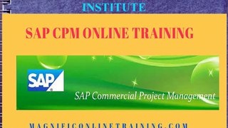 Sap_CPM_Online_Training_IT_Services_in_Dubai_USA