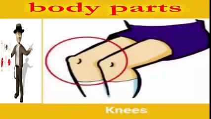 Tải video: تعليم الأطفال أجزاء الجسم بالانجيزية  body parts