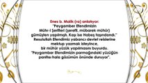 Peygamber Efendimizin yüzüğü ve mührü