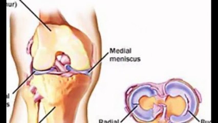 Trauma Hospital in Ahmedabad | Trauma Hospital Ahmedabad