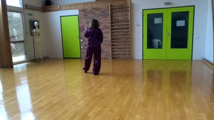 1er duan yangjia michuan taichi chuan