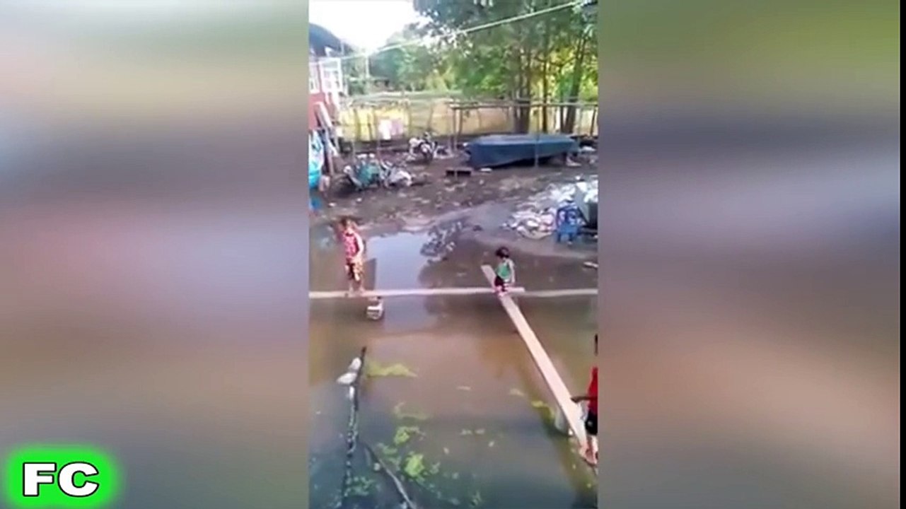 Best FAILS & Funny Videos ★ November 2015 Compilation ★ FailCity