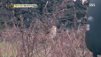■OlO↔59O6↔1O5O■ 공덕동출장안마 강동출장안마 아현동출장안마