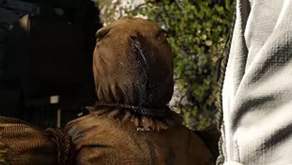 온라인바카라게임━━━AOA200。COM━━━카지노잭팟