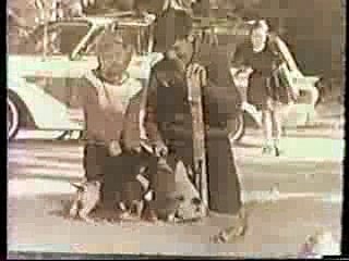 1963 Ford Fairlane Squire Commercial