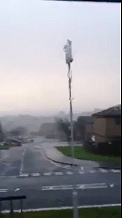 TRAMPOLINE TRAMPOLINE (CRAZY WINDS)