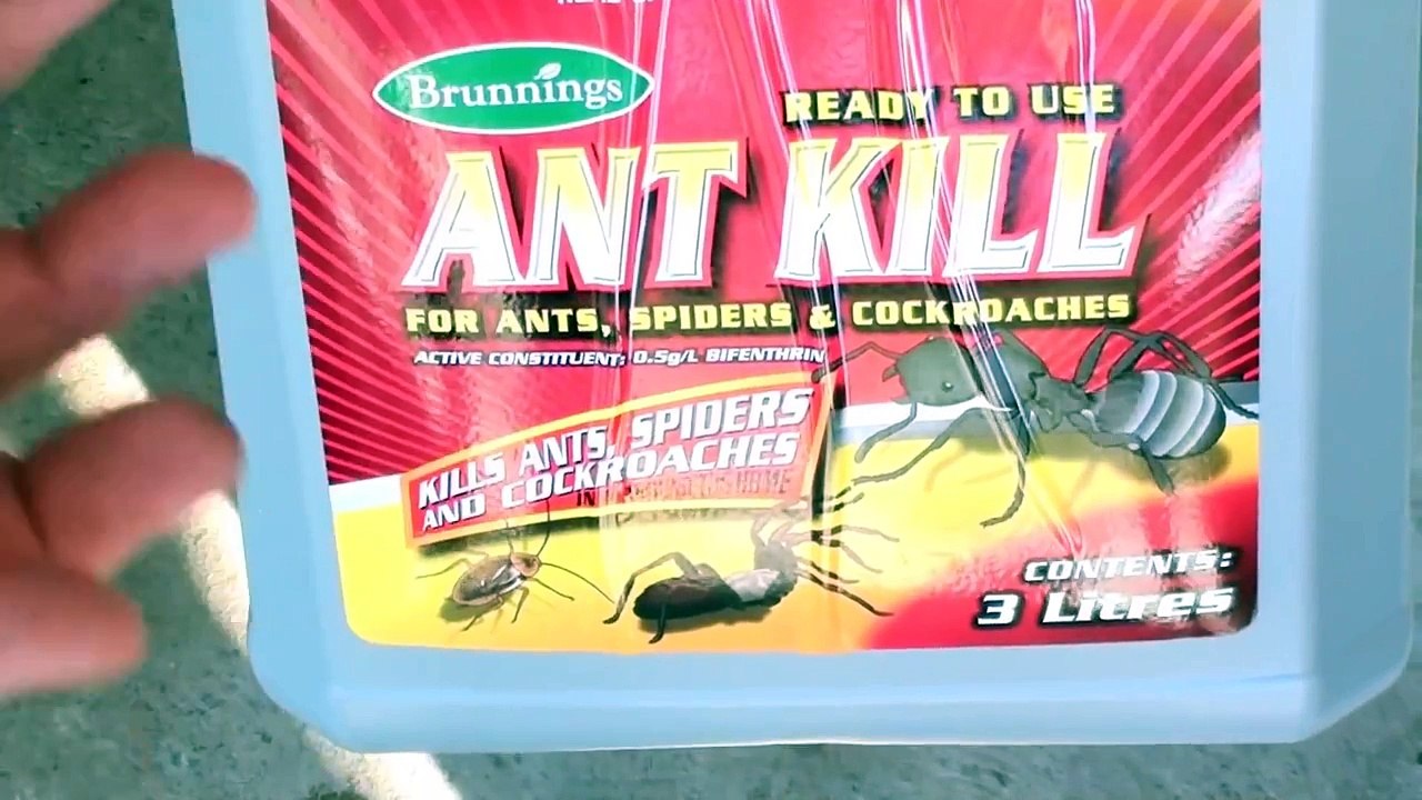 DIY Home Pest Control