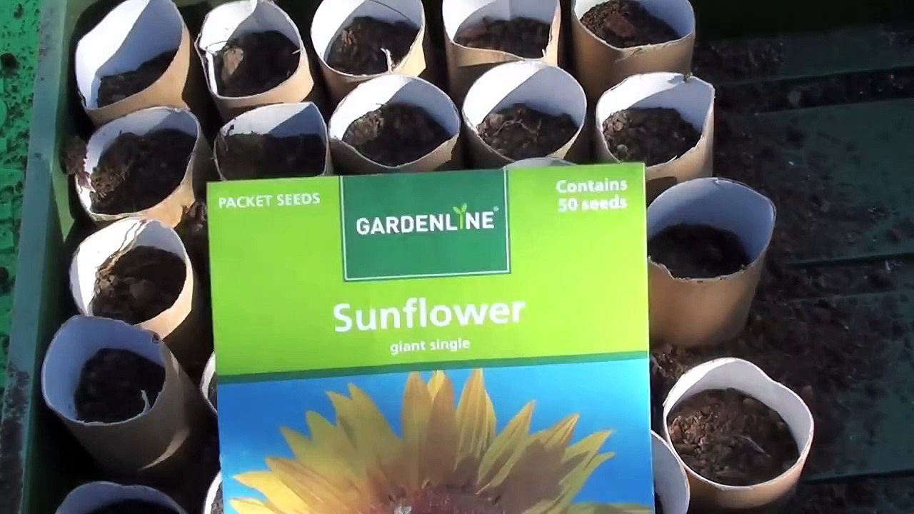 Homemade Seed Raisers