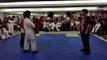 Top Martial Arts Video : Jeet Kune Do Demonstration at ALIMALL Quezon City Philippines