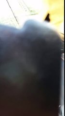 Viral Video UK: Hilarious Home Alone Blow Torch Prank!