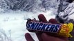 Лиса и сникерс  Fox and Snickers