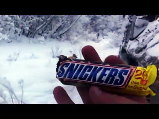 Лиса и сникерс  Fox and Snickers