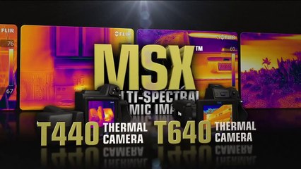 Caméra thermique FLIR  Technologie MSX (Multi-Spectral Dynamic Imaging)