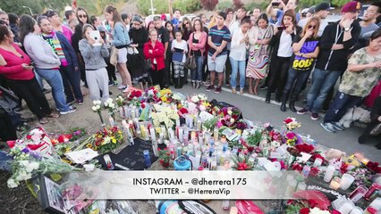 Paul Walker Funeral Tearful Last Goodbye To Fast & Furious 7 Actor Vin Diesel 8 REBLOP.com