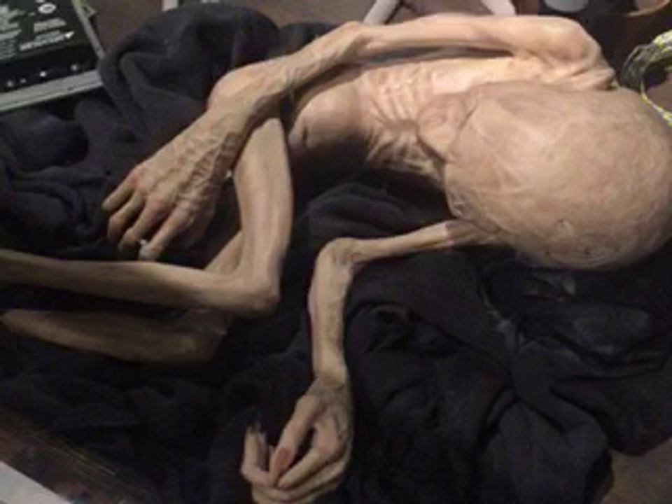 Human Transform