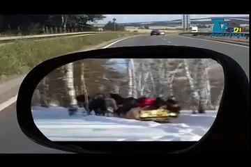 Mihaela Dobroiu -  Sanie cu zurgălăi (fragment) (1024p FULL HD)