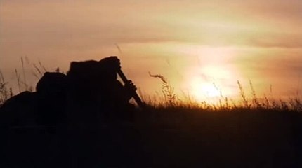 블랙젝さ＆..TNT900、COM..▲ぴ호게임つ바카라라이브