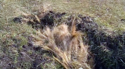 바카라시스템베팅が§..TNT900、COM..↙ろ바카라전략き바카라 딜러