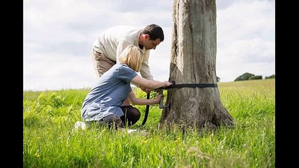 Винтовая лестница для любого дерева