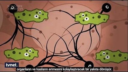 Öldükten sonra vücutta neler oluyor?