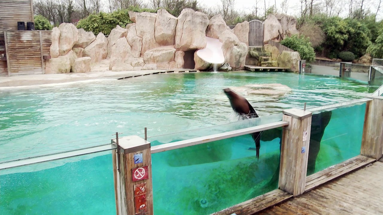 Junior Trainer Academy au Zoo d'Amnéville