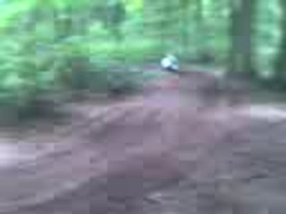 Dirt