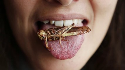 20 Weird Jobs That Pays Well