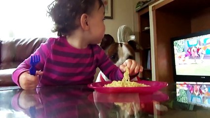Dog Steals Noodles From Baby's Mouth