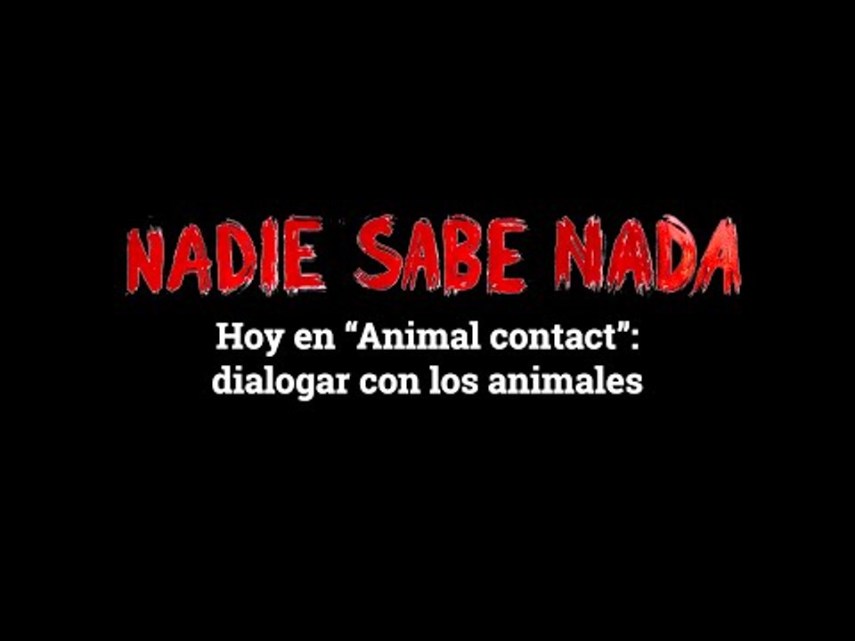 Momentos NSN (3x16): Hoy en "Animal contact", dialogar con animales