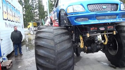 Настоящий Английский Бигфут вблизи