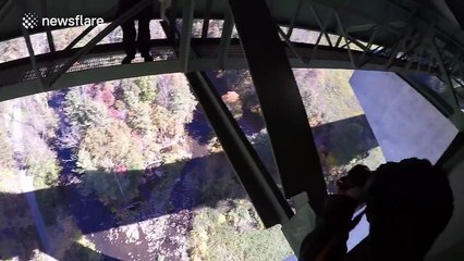 BASE jumper misjudges speed and ends up breaking leg