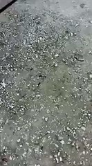 Необычные ворота