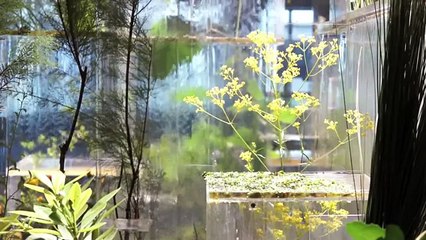 Остановитесь и понюхайте цветы