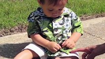 Insects are Delicious! - Babies and Animals - toddletale