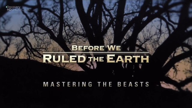 Прежде чем мы покорили Землю 02. Жизнь с дикими зверями | Discovery HD