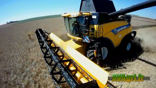 NEW HOLLAND CR 9090 à la moisson du Colza en 2012