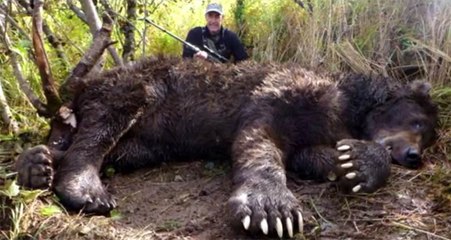 Estas fotos foram apagadas por não terem explicação e puderem assustar a população!