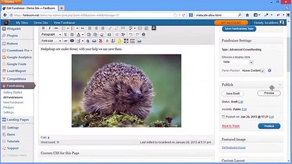Change the World with FanBoom&#39;s Fundraising App - Part 3 Advanced Crowd-Funding