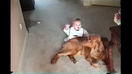 Inappropriate Baby - Babies and Animals - toddletale